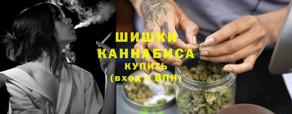 молекула духа Покачи
