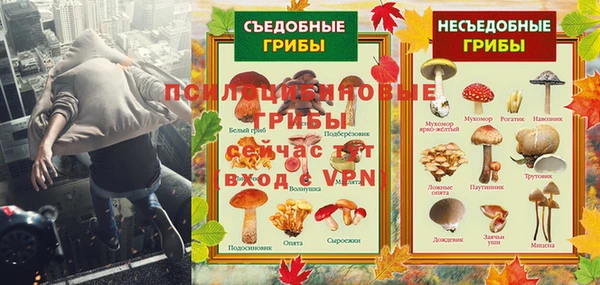 амф Алексин
