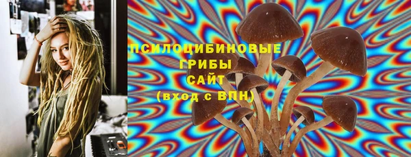 прущие грибы Абдулино