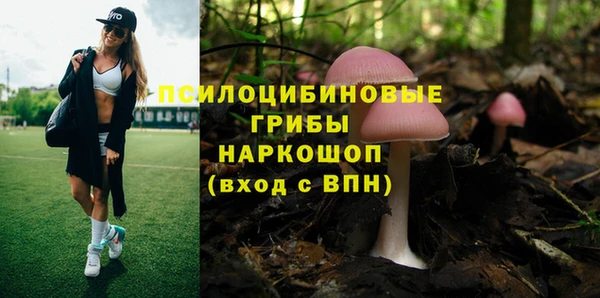 марки nbome Алзамай